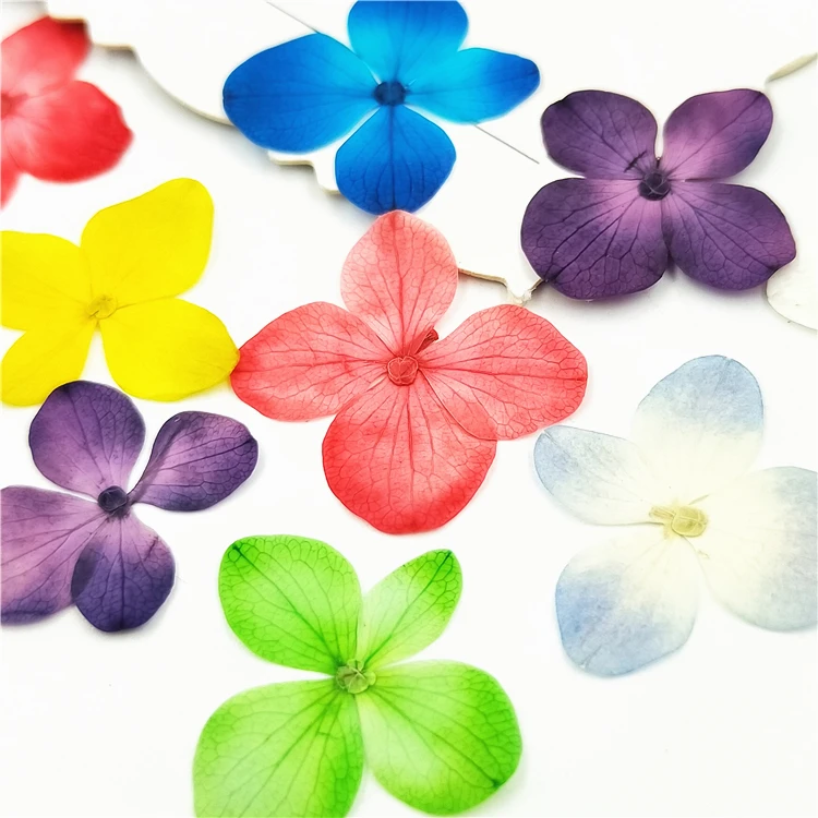 Dried Flower Bookmark - 24pcs,Nature Pressed Hydrangea Flower Petals,Nail Art