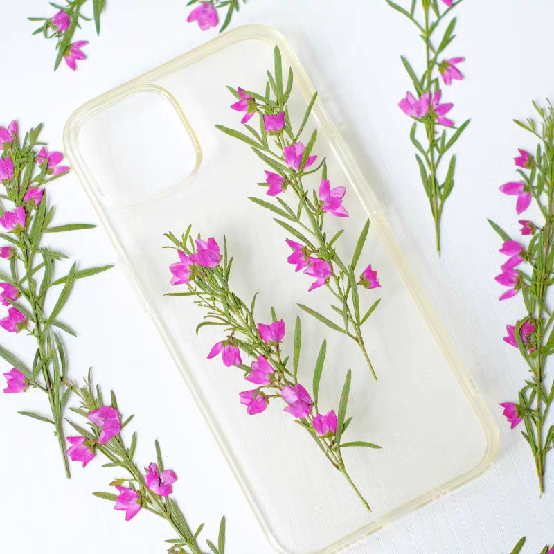 100pcs Pressed Dried Aidia can - Dried Flower Bookmark avis et prix