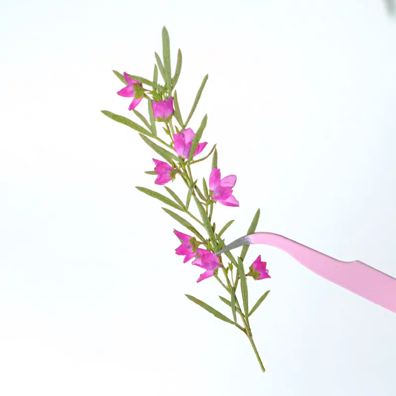 100pcs Pressed Dried Aidia can - Dried Flower Bookmark avis et prix