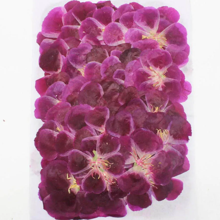60pcs 4-7cm Pressed Dried Gode - Dried Flower Bookmark avis et prix