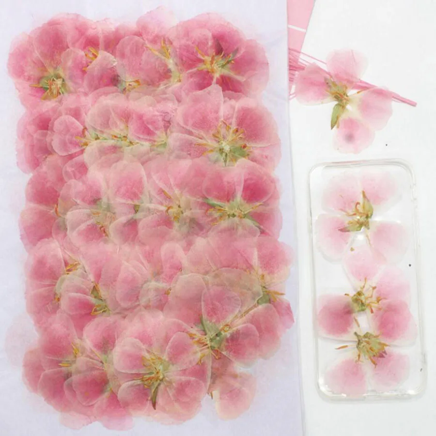 60pcs 4-7cm Pressed Dried Gode - Dried Flower Bookmark avis et prix