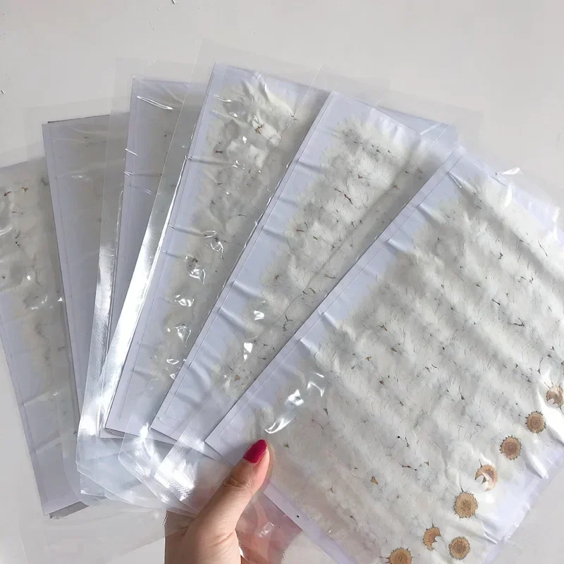 60X Pressed Dried Natural Whit - Dried Flower Bookmark avis et prix