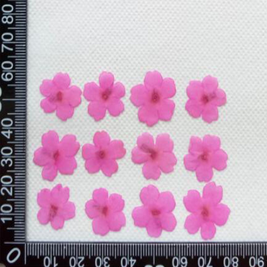 60pcs 1-2cm Pressed Dried Dyed - Dried Flower Bookmark avis et prix