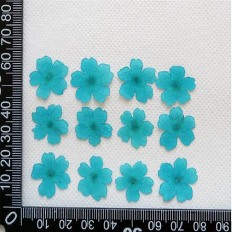 60pcs 1-2cm Pressed Dried Dyed - Dried Flower Bookmark avis et prix