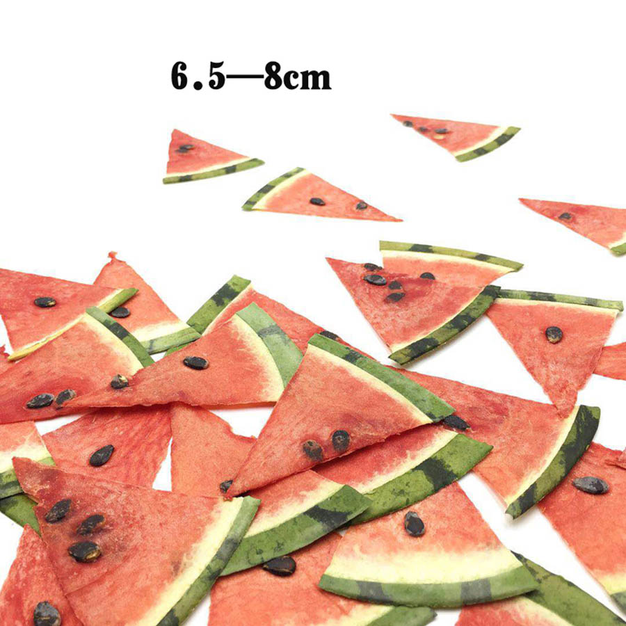 5pcs Dried Pressed Exopy Fruit - Dried Flower Bookmark avis et prix