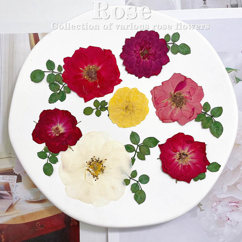 60pcs Pressed Dried Red Yellow - Dried Flower Bookmark avis et prix
