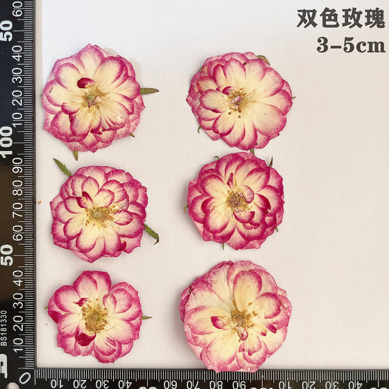 60pcs Pressed Dried Red Yellow - Dried Flower Bookmark avis et prix