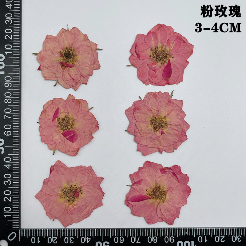 60pcs Pressed Dried Red Yellow - Dried Flower Bookmark avis et prix