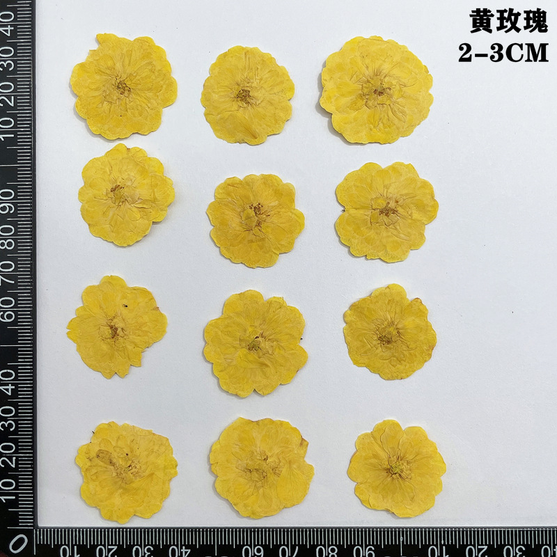 60pcs Pressed Dried Red Yellow - Dried Flower Bookmark avis et prix
