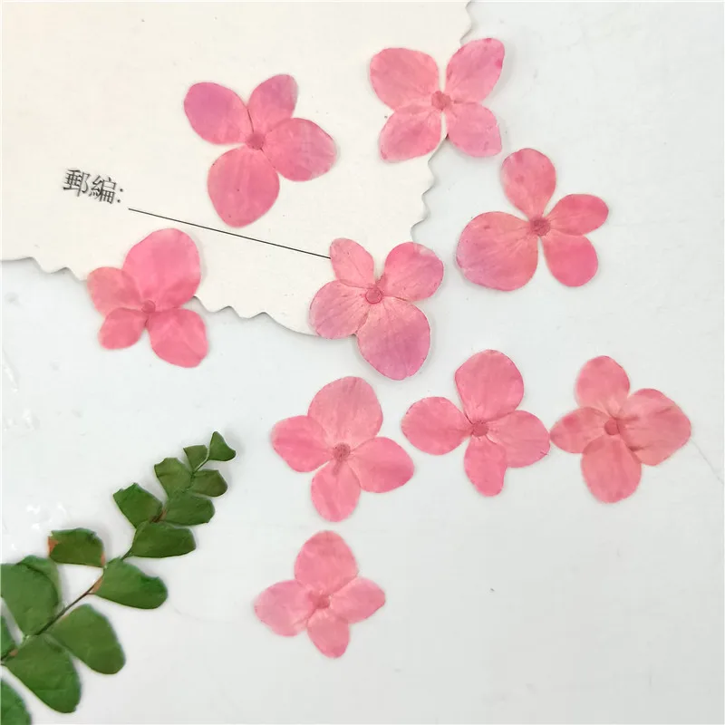 24pcs,Nature Pressed Hydrangea - Dried Flower Bookmark avis et prix