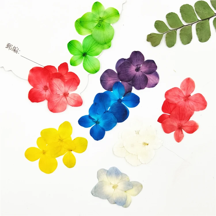 24pcs,Nature Pressed Hydrangea - Dried Flower Bookmark avis et prix