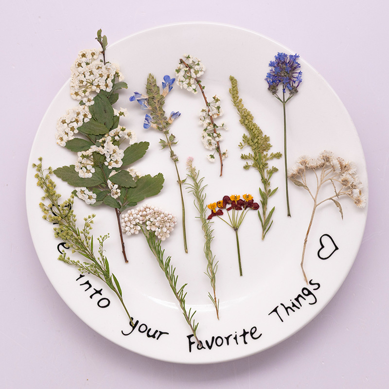 500Pcs Large Package of Fern P - Dried Flower Bookmark avis et prix