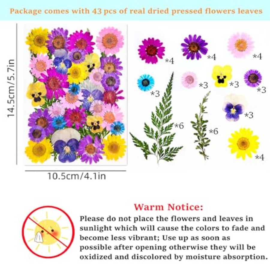 Cardstock Blank Bookmarks Set, - Dried Flower Bookmark avis et prix