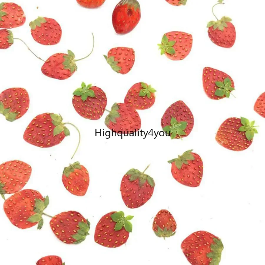 10pcs Dried Pressed Mini Fruit - Dried Flower Bookmark avis et prix