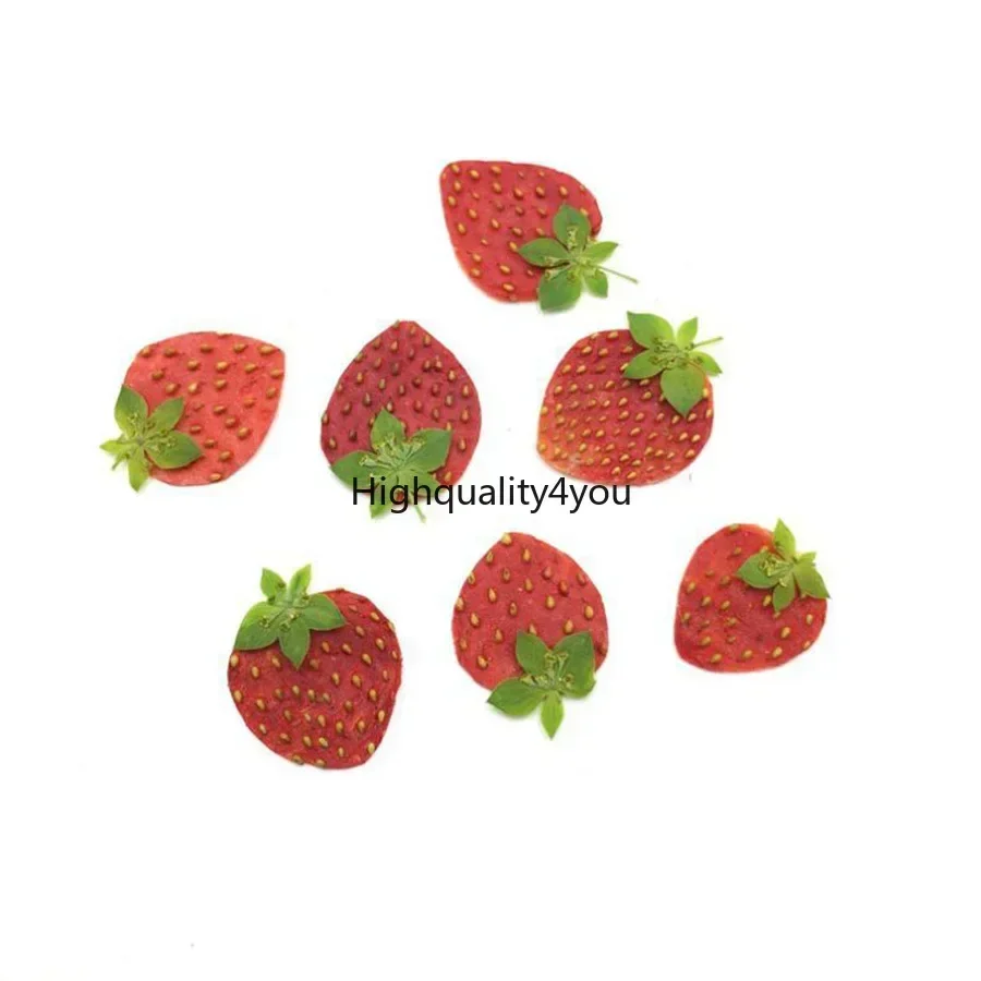 10pcs Dried Pressed Mini Fruit - Dried Flower Bookmark avis et prix