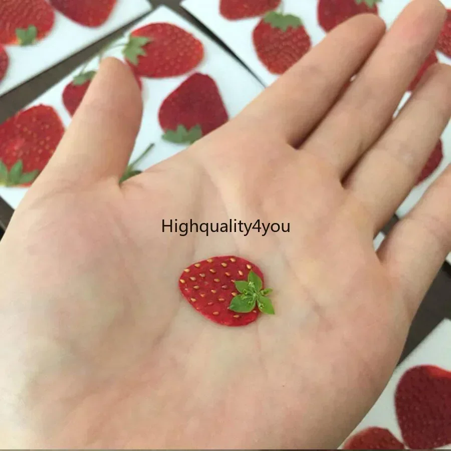 10pcs Dried Pressed Mini Fruit - Dried Flower Bookmark avis et prix