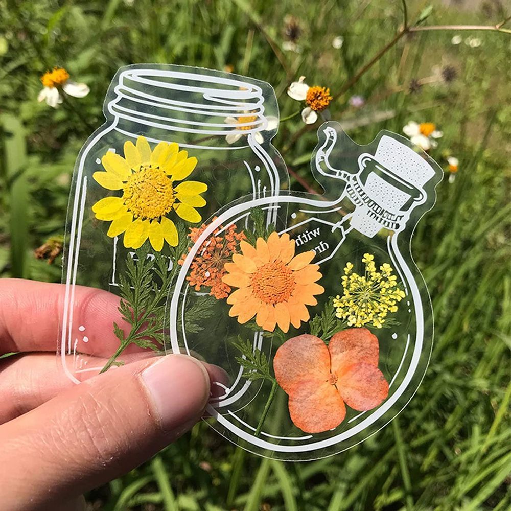 30Pcs Transparent Dried Flower - Dried Flower Bookmark avis et prix