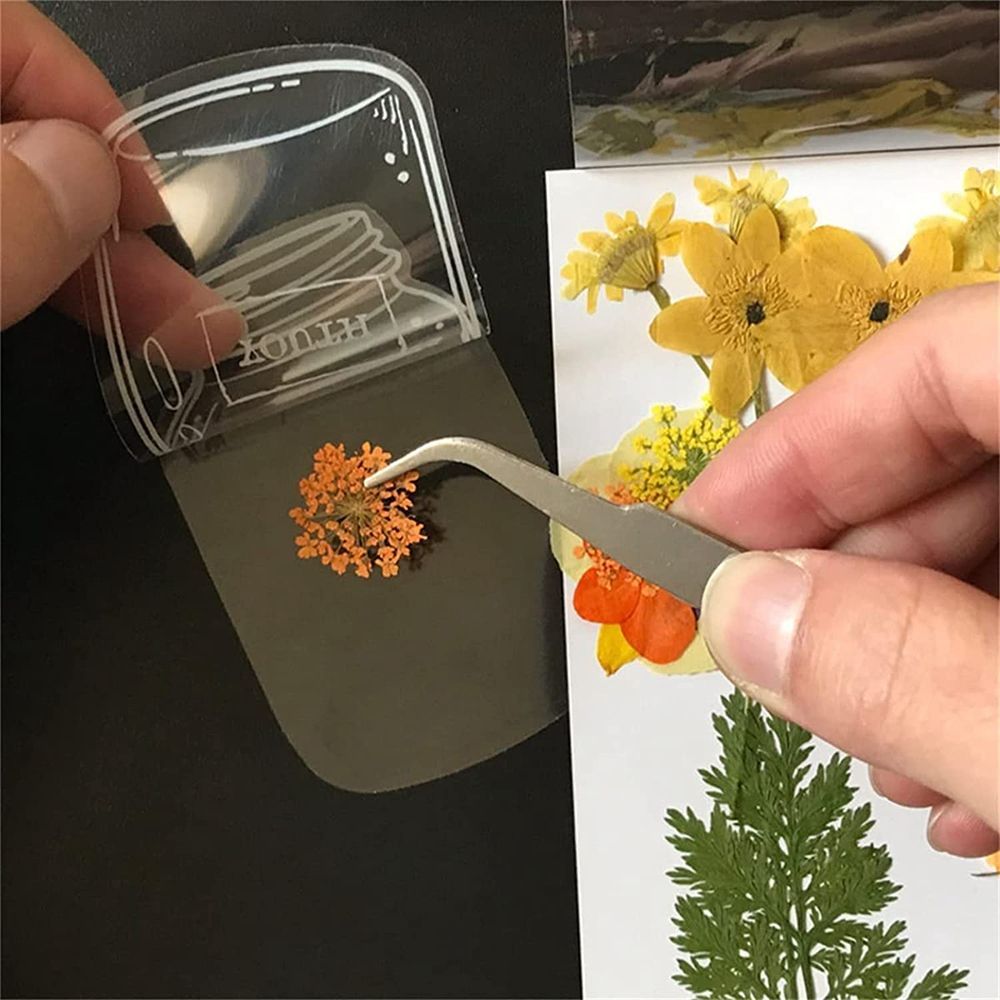 30Pcs Transparent Dried Flower - Dried Flower Bookmark avis et prix